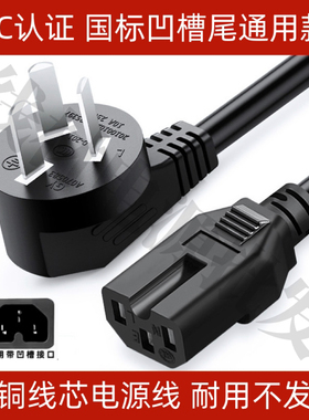 多功能电热锅 LBDG-2100电源线大功率凹槽三脚高质量连接电线插头