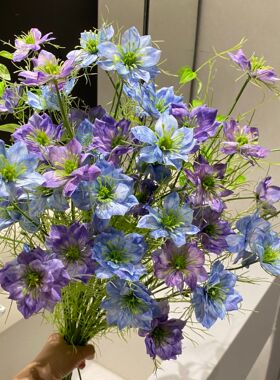 黑种草 蓝紫色 野花类 清新田园风解压 假花 仿真花