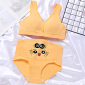 孕妇内衣内裤 女纯棉无钢圈怀孕初期中期晚期产后喂奶哺乳文胸 套装