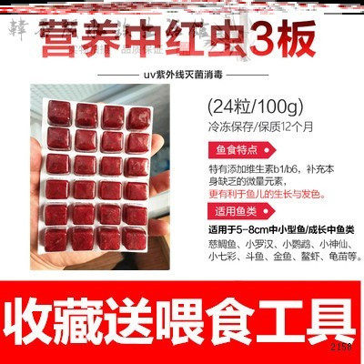 红赤虫价格 红赤虫图片 星期三