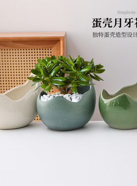 蛋壳客厅陶瓷兰花盆桌面花器小清新摆件室内发财树文竹盆栽盆景盆