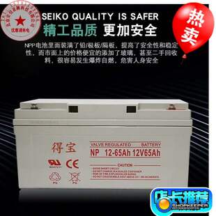 12V65AH蓄电池UPS 消防主机 直流屏照明 电梯应急系统NP12-65电瓶