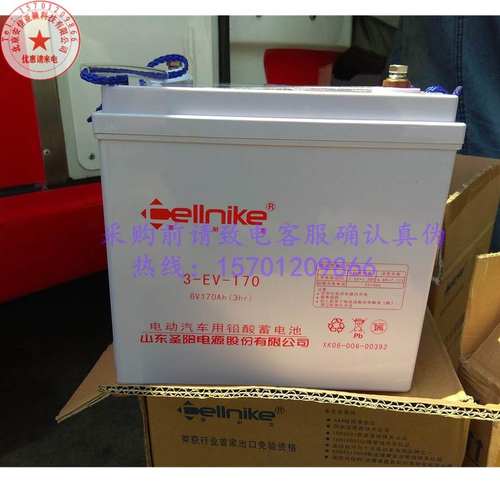 赛耐圣阳3-EV-170电动汽车用铅酸蓄电池6V170Ah/3hr巡逻观光车