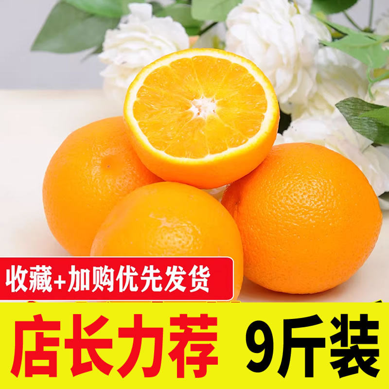 南非橙子带箱10包邮非冰糖应季