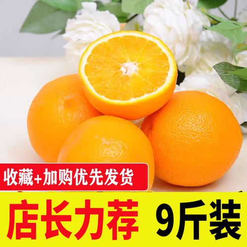 南非橙子带箱10包邮非冰糖应季