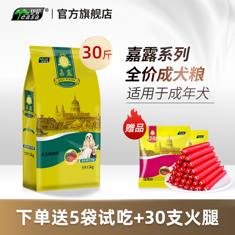 伊萨金毛拉布拉多泰迪通用型成犬