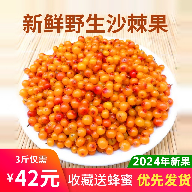 穆芝堂野生新鲜沙棘果3斤鲜果包邮正品沙刺果酵素榨汁官方旗舰店