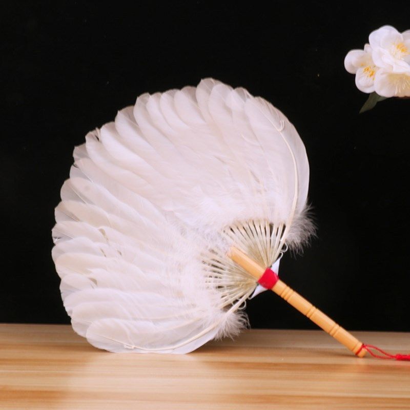 羽毛扇子夏诸葛亮的鹅毛扇宝宝用鸡毛女实用大婴儿专用儿童大便携