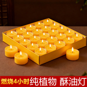 酥油灯供佛灯家用长明灯佛前酥油供灯100粒2 8小时室内香薰蜡烛