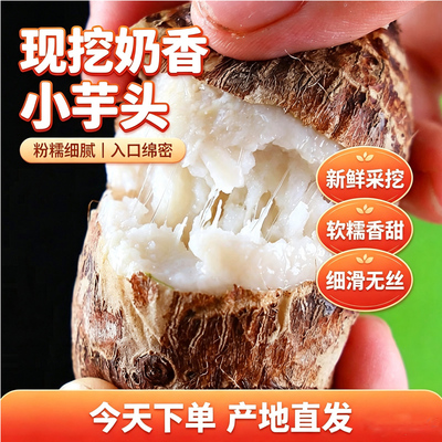 云南小芋头新鲜毛芋头现挖现发奶油小芋头新鲜蔬菜包邮软糯香甜