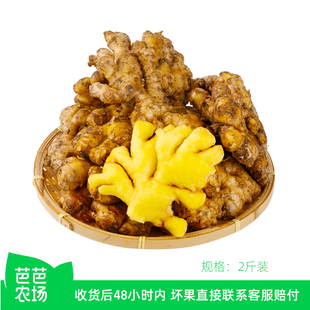 【芭芭农场】云南小黄姜2斤