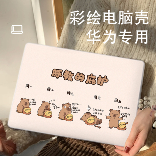 d14外壳膜pro磨砂 卡皮巴拉适用华为matebook14s保护壳matebookd16笔记本荣耀magicbook14寸电脑13s壳2024新款