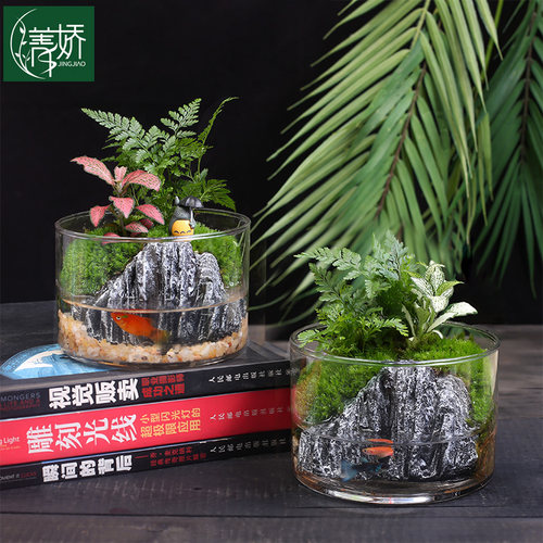 菁娇水陆缸造景景观摆件