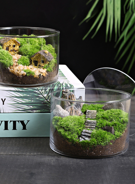 12c苔藓直筒瓶微景观生态瓶青苔创意植物DIY办公室桌面减压小盆栽
