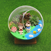 菁娇16c多肉微景观DIY材料桌面小花盆栽鲜活植物幼儿园礼物生态瓶