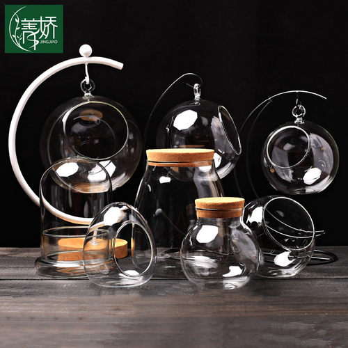 苔藓玻璃瓶子菁娇生态瓶