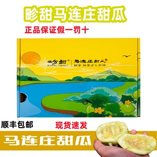 现货畛甜马连庄甜瓜小傻瓜冰糖脆甜头茬空运香瓜当季新鲜水果包邮