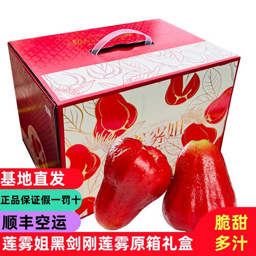 顺丰莲雾姐黑金刚莲雾礼盒海南空运热带水果脆甜爽口补水新鲜莲雾