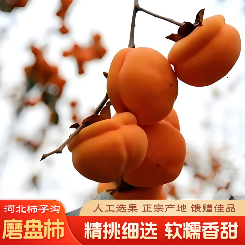 河北保定正宗大磨盘柿子汁多软甜