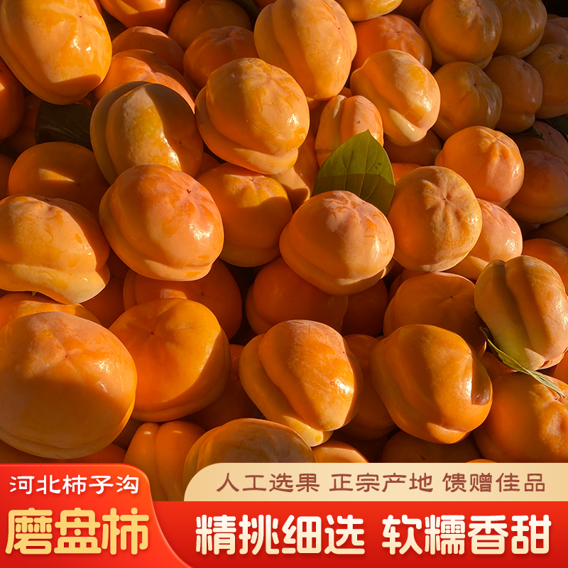 当季正宗大磨盘柿子新鲜现摘软甜