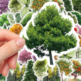 100张丛林密语PET贴纸枫树橘子树竹子ins风简约小清新贴画diy手账