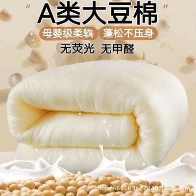 大豆纤维被子冬被加厚保暖棉被10斤12秋冬季宿舍单人学生丝棉被芯