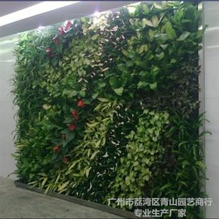 仿真米兰草球装 饰用仿真豆瓣草球广场摆设用草球m大号