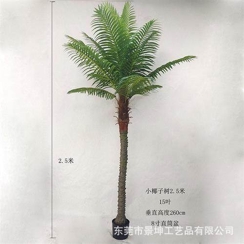 仿真小椰子树仿真美丽针葵树小棕榈树室内外绿植盆栽落地造景装饰