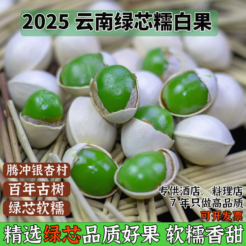 2025年新鲜银杏果云南古树白果