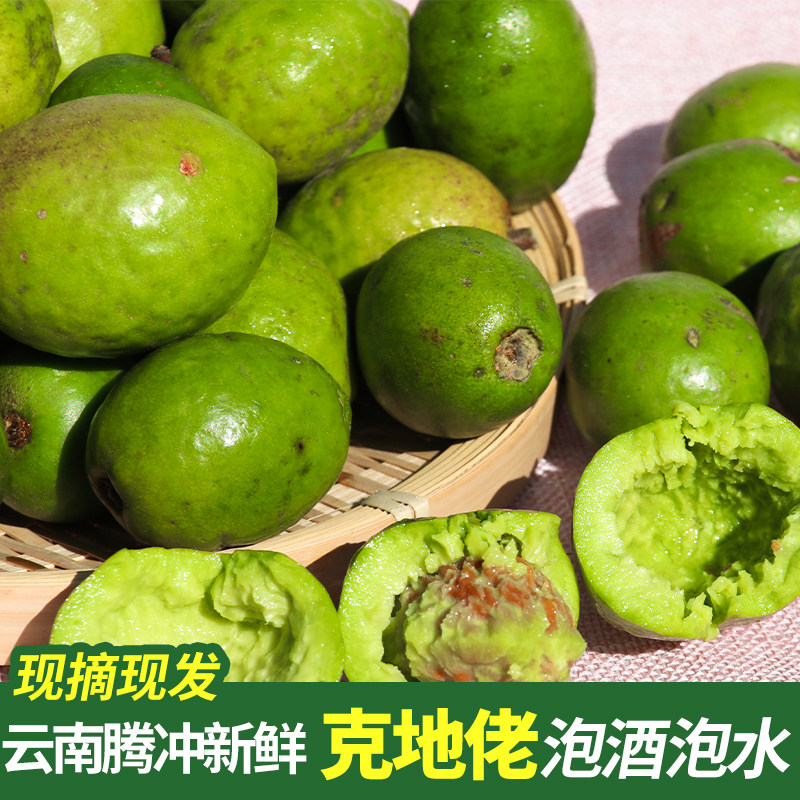 云南腾冲新鲜咳地佬德宏滇青果泡酒水果克地佬鲜果500g现摘包邮