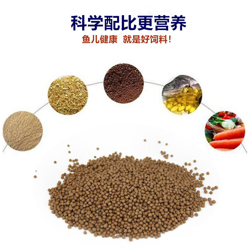 渔场自用高蛋白鱼饲料锦鲤草金小金鱼漂浮饲料观赏鱼通用膨化饲料