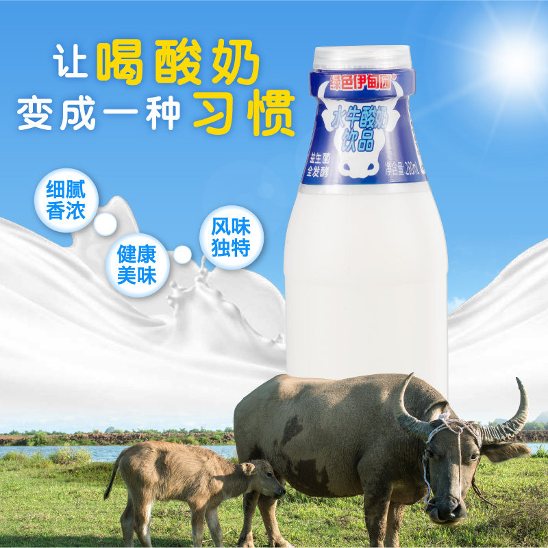 绿色伊甸园水牛酸奶饮品280ml*4瓶乳酸菌益生菌发酵营养早餐奶
