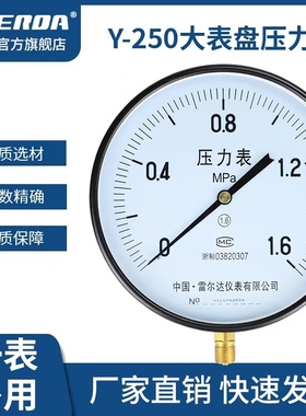 雷尔达超大表盘压力表Y250普通压力表气压液压通用表盘25公分