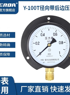 雷尔达 Y100T径向带后边压力表 油压水压气压真空表 船用压力表
