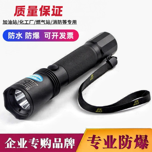 海洋王直充LED可充电防爆防水