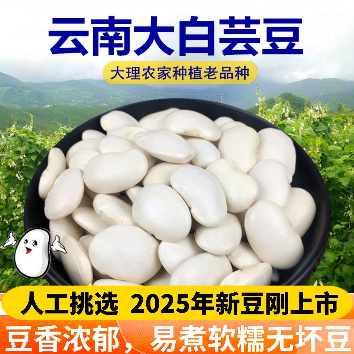 大白芸豆干货云南白芸豆大白豆云豆散装农家自种豆子五谷杂粮主食
