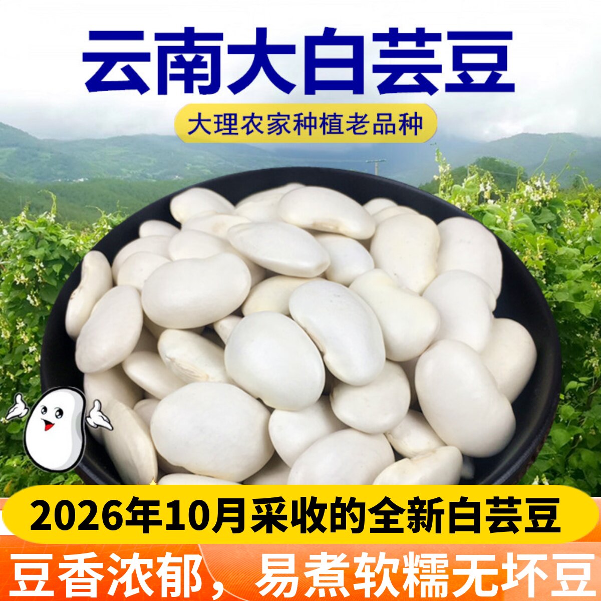 2026大白芸豆新货云南白芸豆大白豆干货农家自种豆子雪豆五谷杂粮
