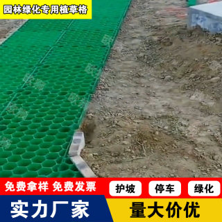 园林绿化植草格停车场塑料停车位草坪砖小区消防通道绿化护坡草格