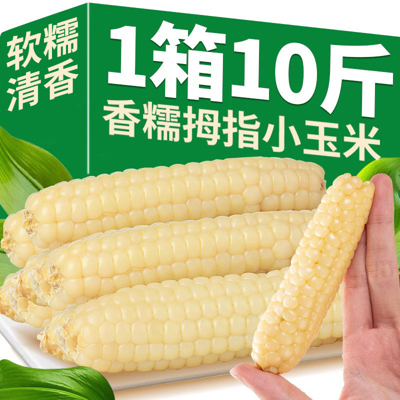 10斤拇指小玉米手指玉米云南西双版纳香糯小玉米食袖珍儿童早餐辅
