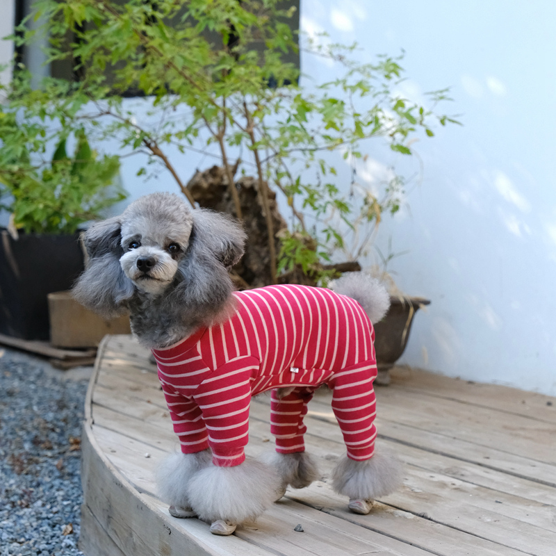 黑宝宝狗狗高弹力保暖包肚子