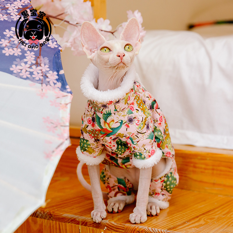 冬装加绒四脚裤斯芬克斯德文猫咪