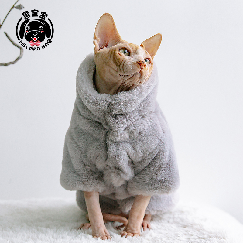 秋冬装无毛猫衣服加厚斯芬克斯