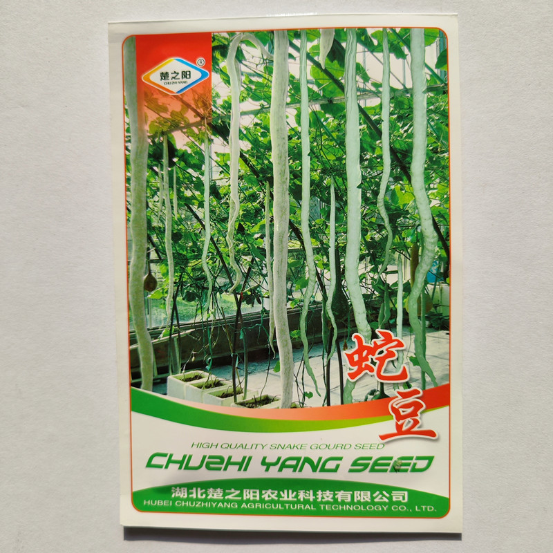 蛇豆种子蛇丝瓜大豆角蛇瓜王春季播蔬菜种子农家阳台菜园春季播种
