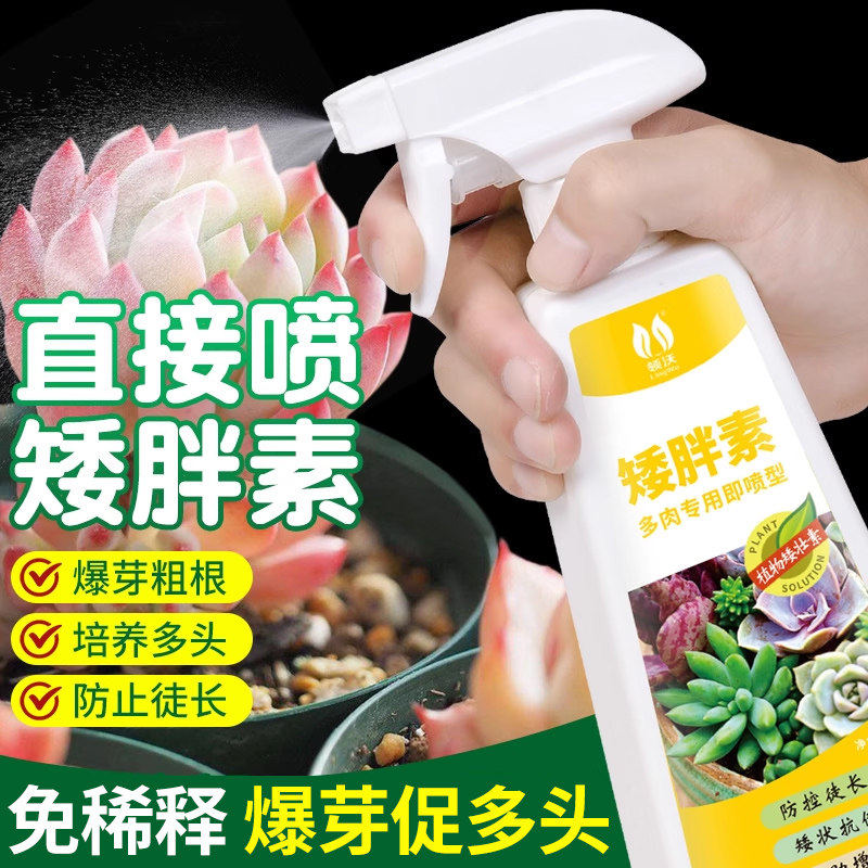 多肉植物专用矮胖素爆芽优芽素营养液花卉绿植通用助壮免稀释肥料