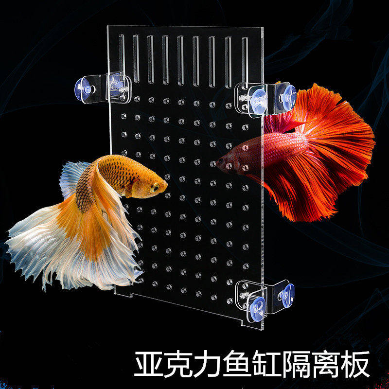 鱼缸隔离板亚克力隔板鱼苗分隔板透明隔断分离板小网格挡板水族