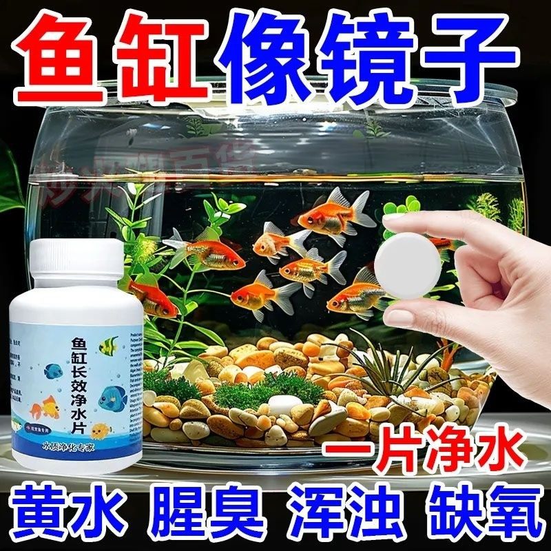 鱼缸净水片澈净化水质除臭去腥水族箱鱼池清水养鱼净水剂增氧换水,宠物/宠物食品及用品,鱼缸净水剂,淘宝优惠券,粉丝福利购,淘宝优惠卷