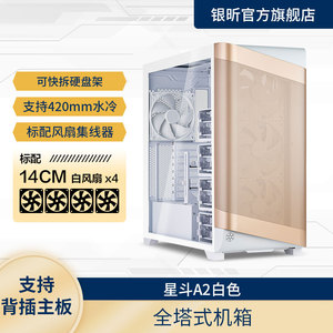 银昕 星斗SETA A2机箱(背插主板/NAS存储/10个硬盘位/420水冷)