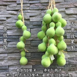 2021饰o品大蒜农家乐饭店模型装辣椒假花生水果玉米蔬菜仿真鱼红
