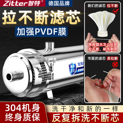 德国智特不锈钢净水器家用PVDF滤芯拉扯不断黄泥水地下水井水克星
