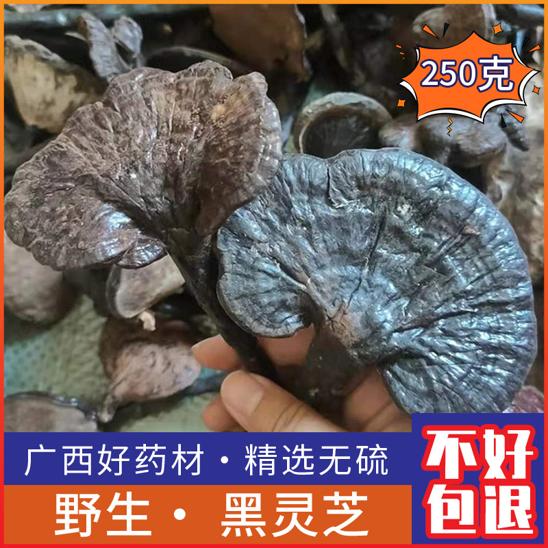 广西纯野生黑灵芝干货整枝黑灵芝紫灵芝泡酒料纯天然正品灵芝250g